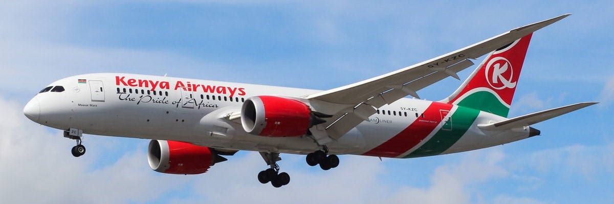 2.	Parastatal Debt: The Kenya Airways Albatross