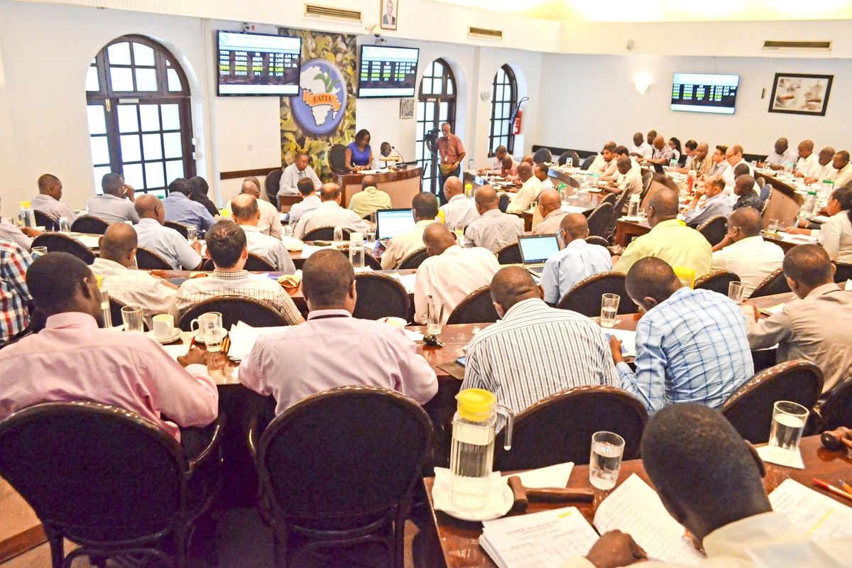 The Mombasa Auction: Where Geopolitics Becomes a Price