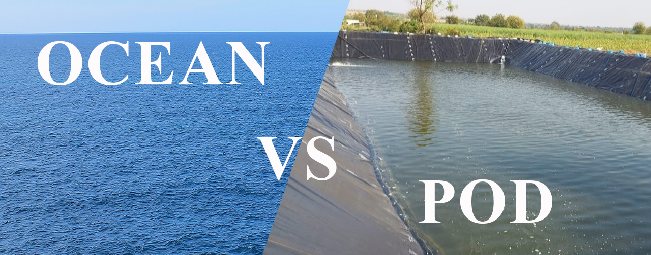 The Ocean vs. The Pond: A Masterclass in Economic Thinking