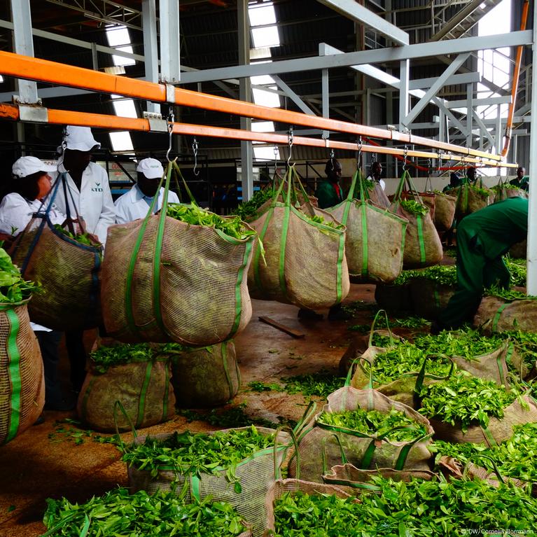 Regional Impact on Production