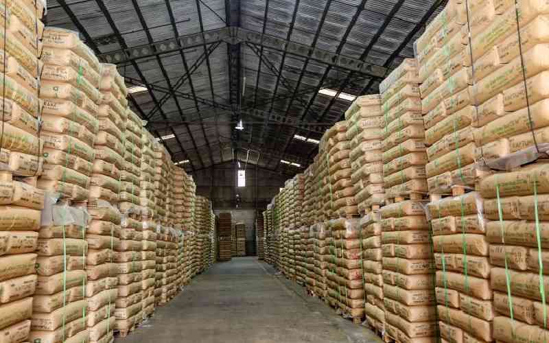 Auction Dynamics: Resilient Demand Despite Global Challenges